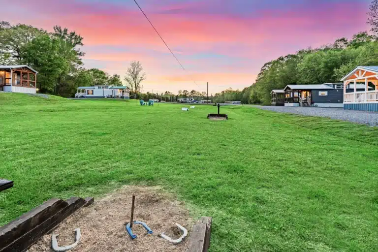 Dog Park